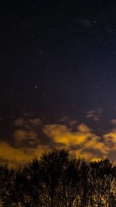 Preview wallpaper starry sky, trees, clouds, night