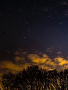 Preview wallpaper starry sky, trees, clouds, night