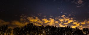 Preview wallpaper starry sky, trees, clouds, night
