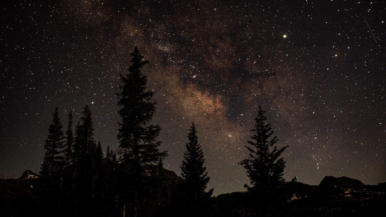 Wallpaper starry sky, trees, dark, night, nature