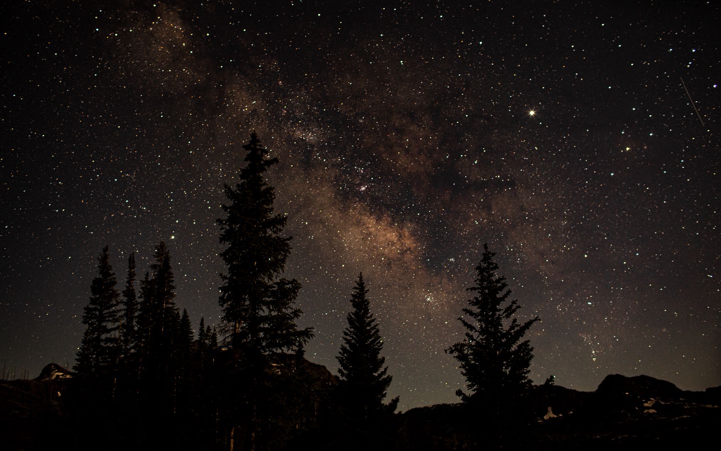Download wallpaper 1440x900 starry sky, trees, dark, night, nature