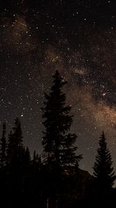 Preview wallpaper starry sky, trees, dark, night, nature