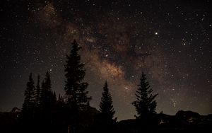 Preview wallpaper starry sky, trees, dark, night, nature