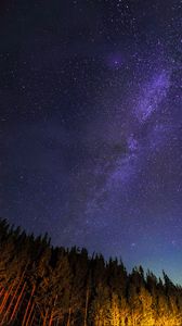 Preview wallpaper starry sky, trees, diagonally, night, stars, sky