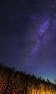 Preview wallpaper starry sky, trees, diagonally, night, stars, sky