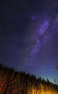 Preview wallpaper starry sky, trees, diagonally, night, stars, sky