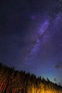 Preview wallpaper starry sky, trees, diagonally, night, stars, sky