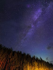 Preview wallpaper starry sky, trees, diagonally, night, stars, sky