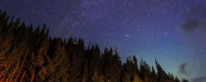 Preview wallpaper starry sky, trees, diagonally, night, stars, sky