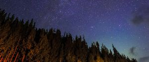 Preview wallpaper starry sky, trees, diagonally, night, stars, sky