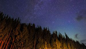 Preview wallpaper starry sky, trees, diagonally, night, stars, sky