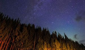 Preview wallpaper starry sky, trees, diagonally, night, stars, sky