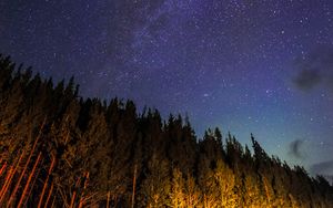 Preview wallpaper starry sky, trees, diagonally, night, stars, sky