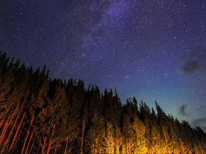 Preview wallpaper starry sky, trees, diagonally, night, stars, sky