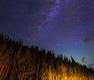 Preview wallpaper starry sky, trees, diagonally, night, stars, sky