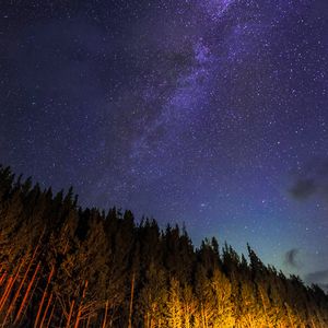 Preview wallpaper starry sky, trees, diagonally, night, stars, sky