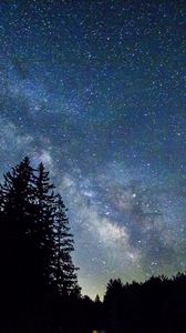 Preview wallpaper starry sky, trees, galaxy