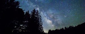 Preview wallpaper starry sky, trees, galaxy