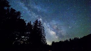 Preview wallpaper starry sky, trees, galaxy