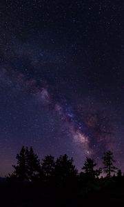 Preview wallpaper starry sky, trees, milky way, california, usa