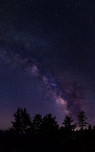 Preview wallpaper starry sky, trees, milky way, california, usa