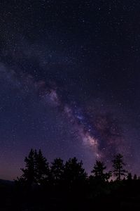 Preview wallpaper starry sky, trees, milky way, california, usa