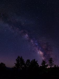 Preview wallpaper starry sky, trees, milky way, california, usa