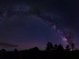 Preview wallpaper starry sky, trees, milky way, california, usa