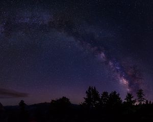 Preview wallpaper starry sky, trees, milky way, california, usa