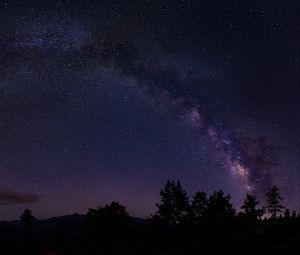 Preview wallpaper starry sky, trees, milky way, california, usa