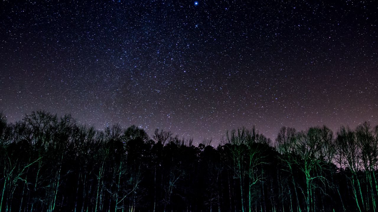 Wallpaper starry sky, trees, night, shine