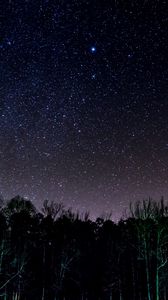 Preview wallpaper starry sky, trees, night, shine