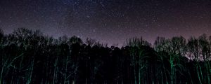 Preview wallpaper starry sky, trees, night, shine