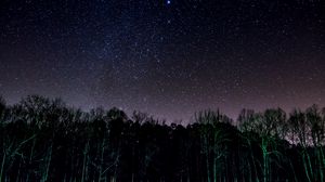 Preview wallpaper starry sky, trees, night, shine