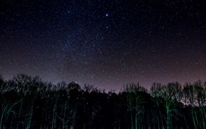 Preview wallpaper starry sky, trees, night, shine