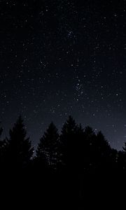 Preview wallpaper starry sky, trees, night, radiance