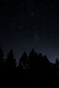 Preview wallpaper starry sky, trees, night, radiance