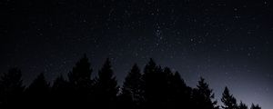 Preview wallpaper starry sky, trees, night, radiance