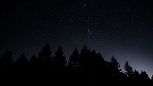 Preview wallpaper starry sky, trees, night, radiance