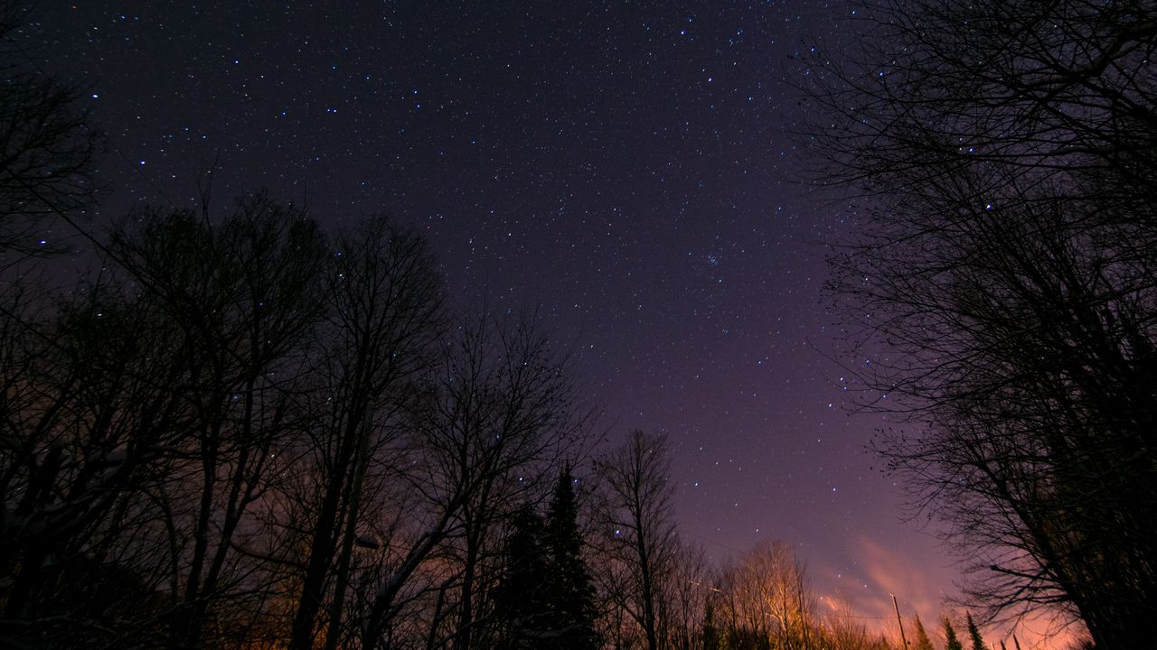 Wallpaper starry sky, trees, night, stars