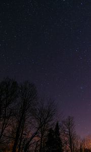 Preview wallpaper starry sky, trees, night, stars