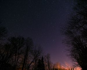 Preview wallpaper starry sky, trees, night, stars