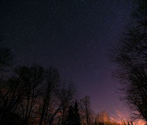 Preview wallpaper starry sky, trees, night, stars