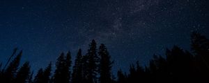 Preview wallpaper starry sky, trees, night, radiance