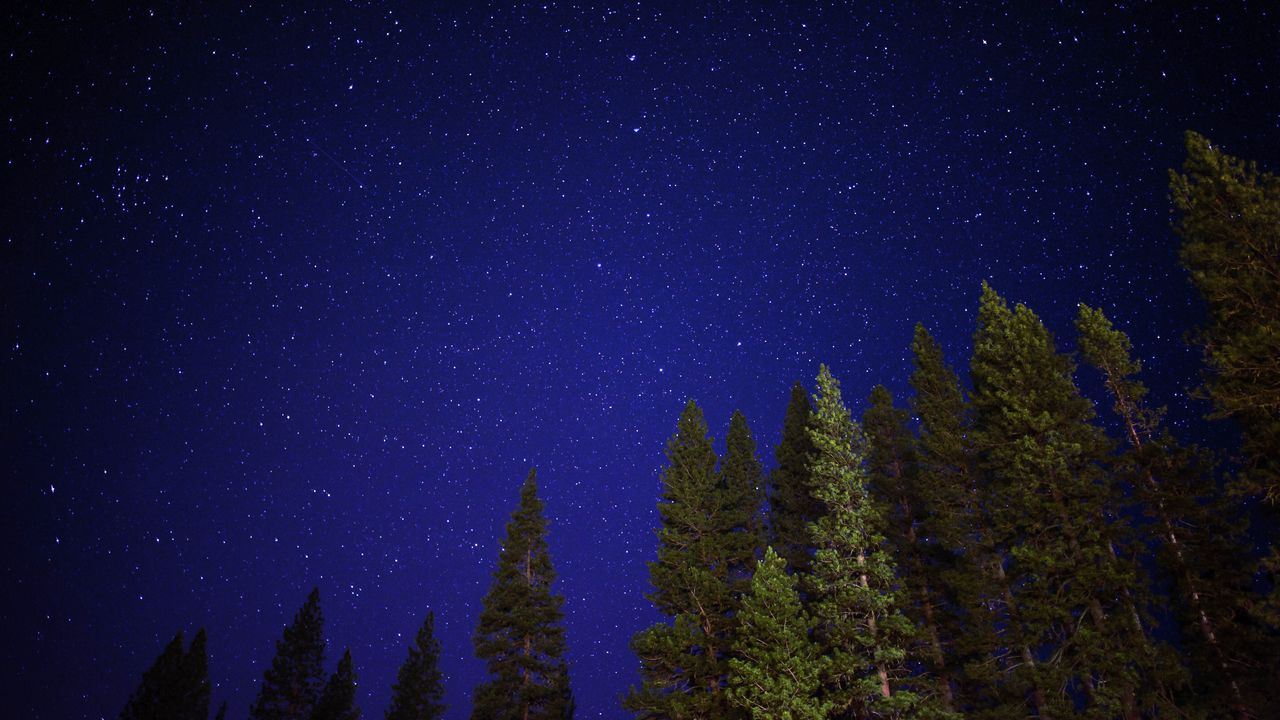 Wallpaper starry sky, trees, night, sky, radiance