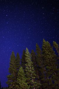 Preview wallpaper starry sky, trees, night, sky, radiance