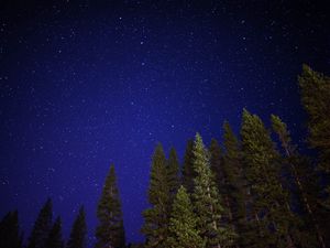Preview wallpaper starry sky, trees, night, sky, radiance
