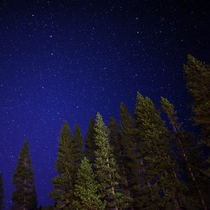 Preview wallpaper starry sky, trees, night, sky, radiance