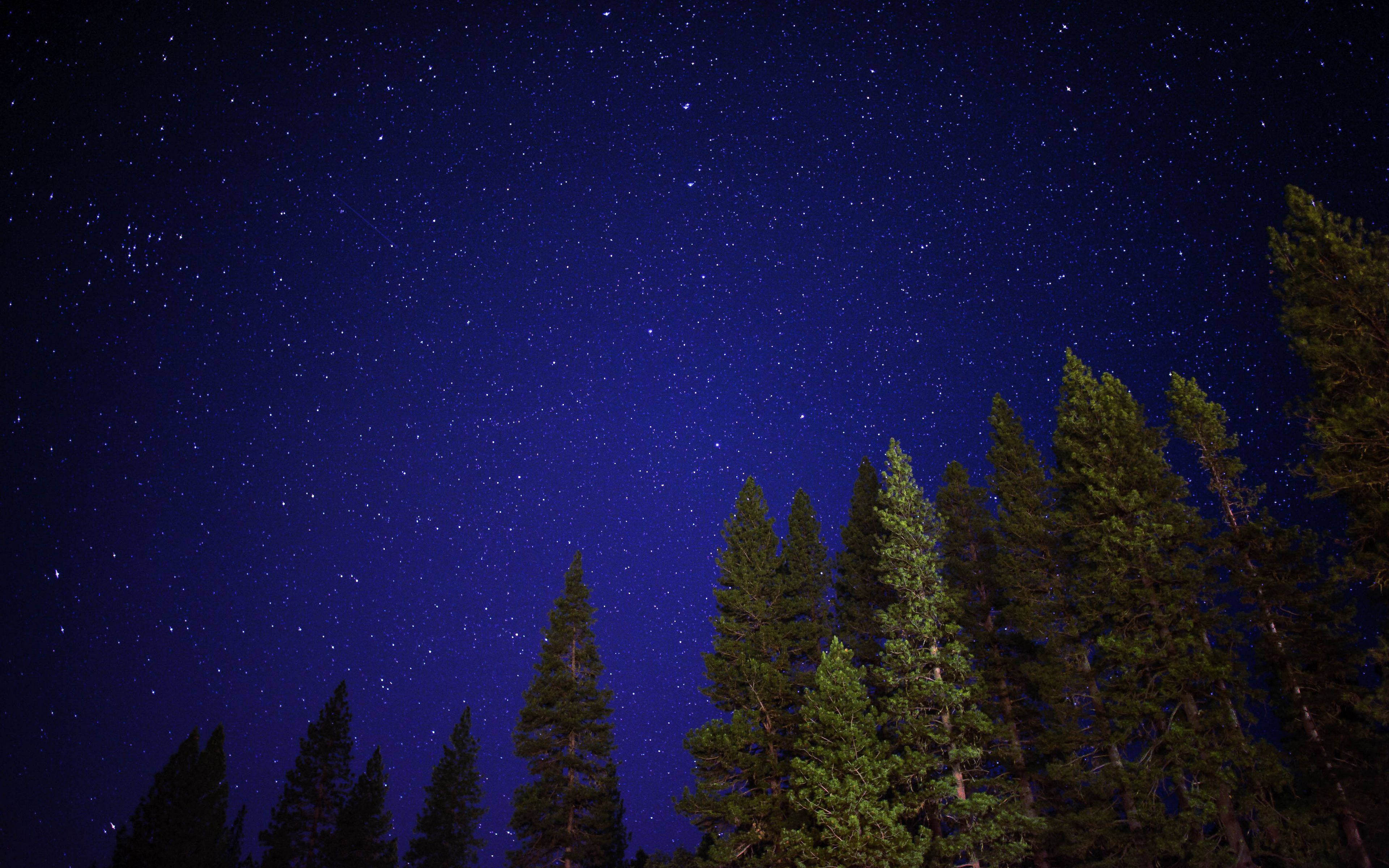 Download wallpaper 3840x2400 starry sky, trees, night, sky, radiance 4k  ultra hd 16:10 hd background