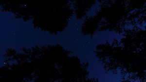 Preview wallpaper starry sky, trees, night, bottom view